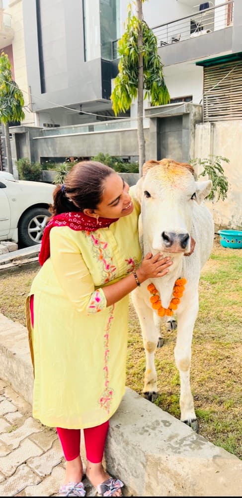 Gau Mata Seva & Blessing