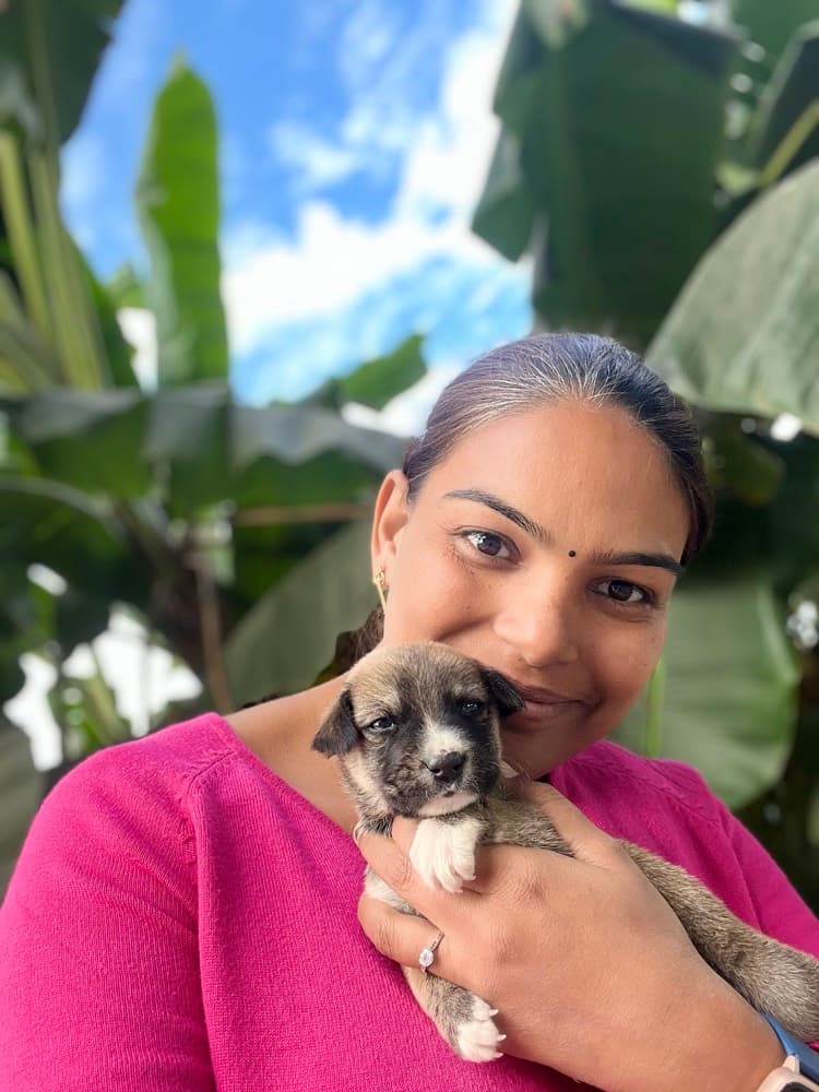 Newborn Puppy Rescue