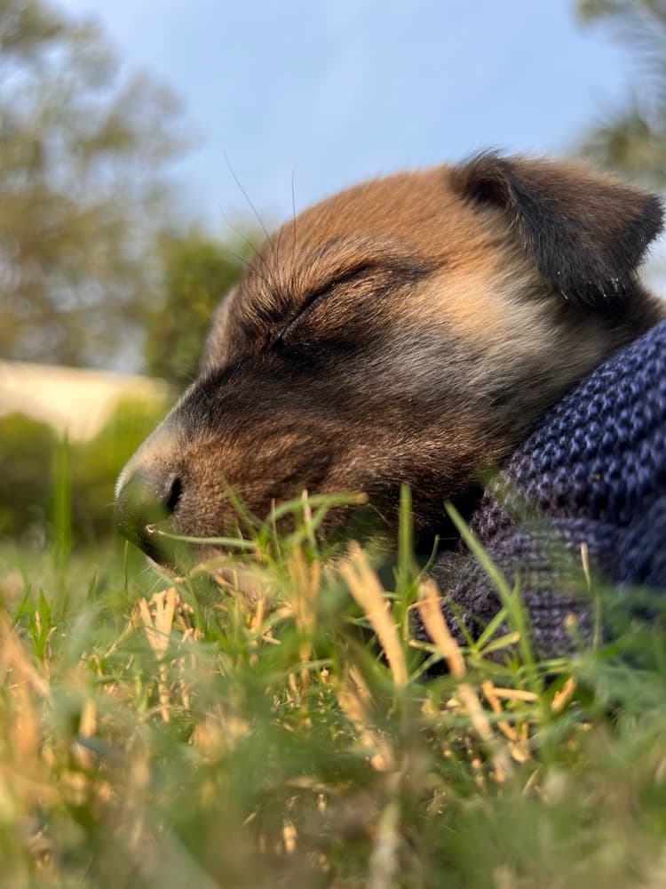 Peaceful Slumber in Winter Knit