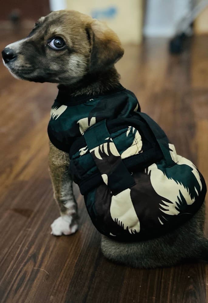 Winter Coat Protection