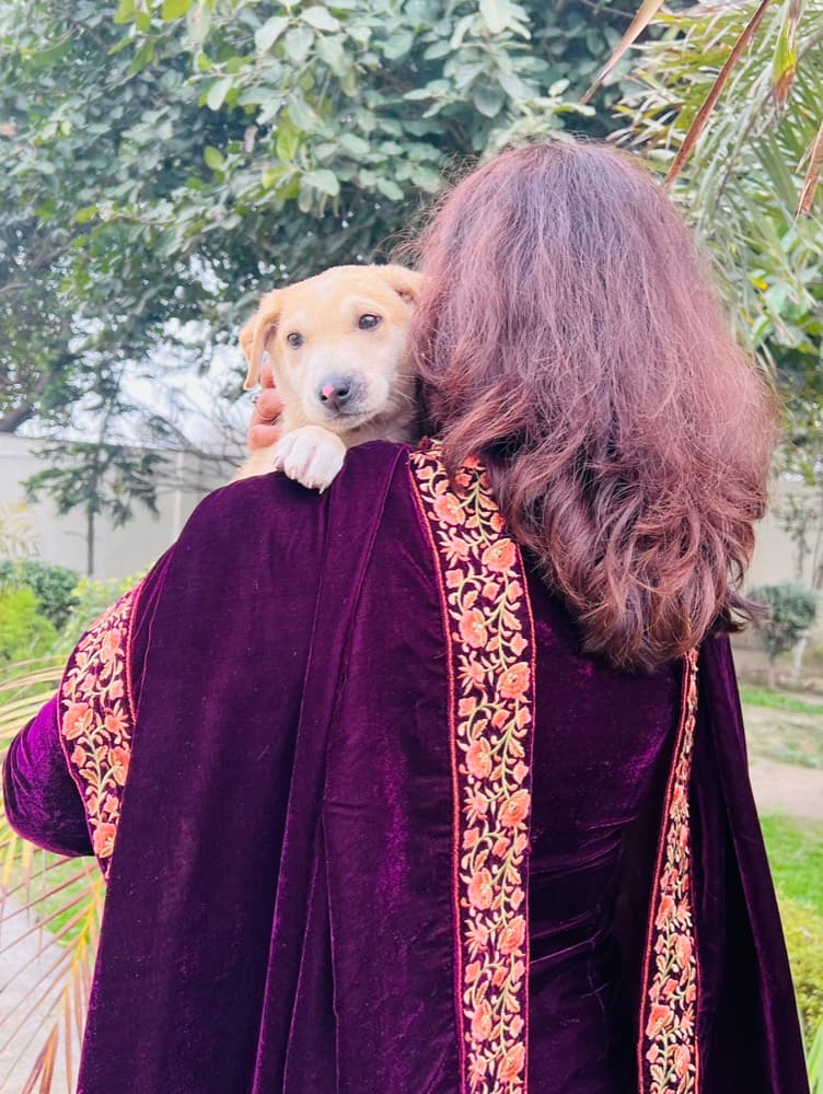 Shoulder Companion