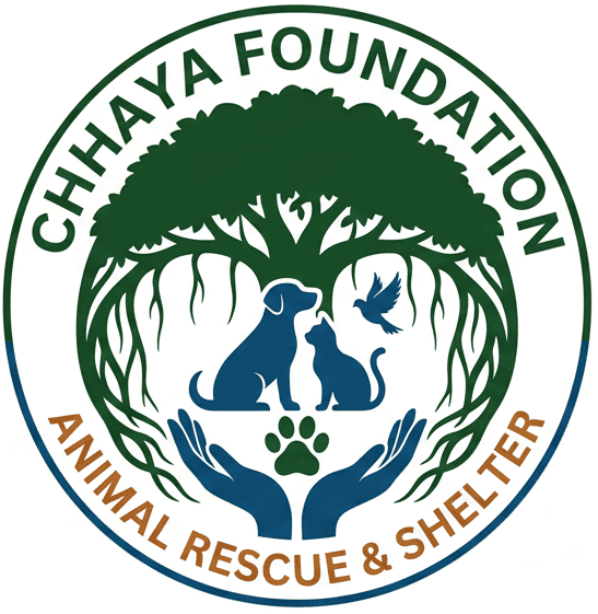 Chhaya Foundation Trust Official Logo